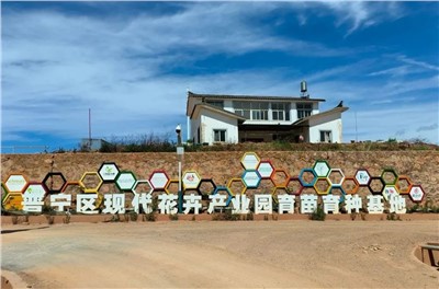 【案例故事】享譽(yù)世界的春城花都，世邦助力云南晉寧走出“芬芳”致富路